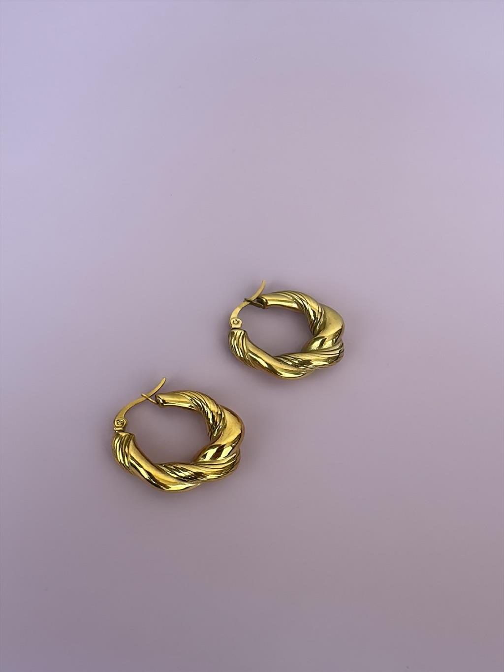 ÇELİK Çizgi Burgu Gold Küpe