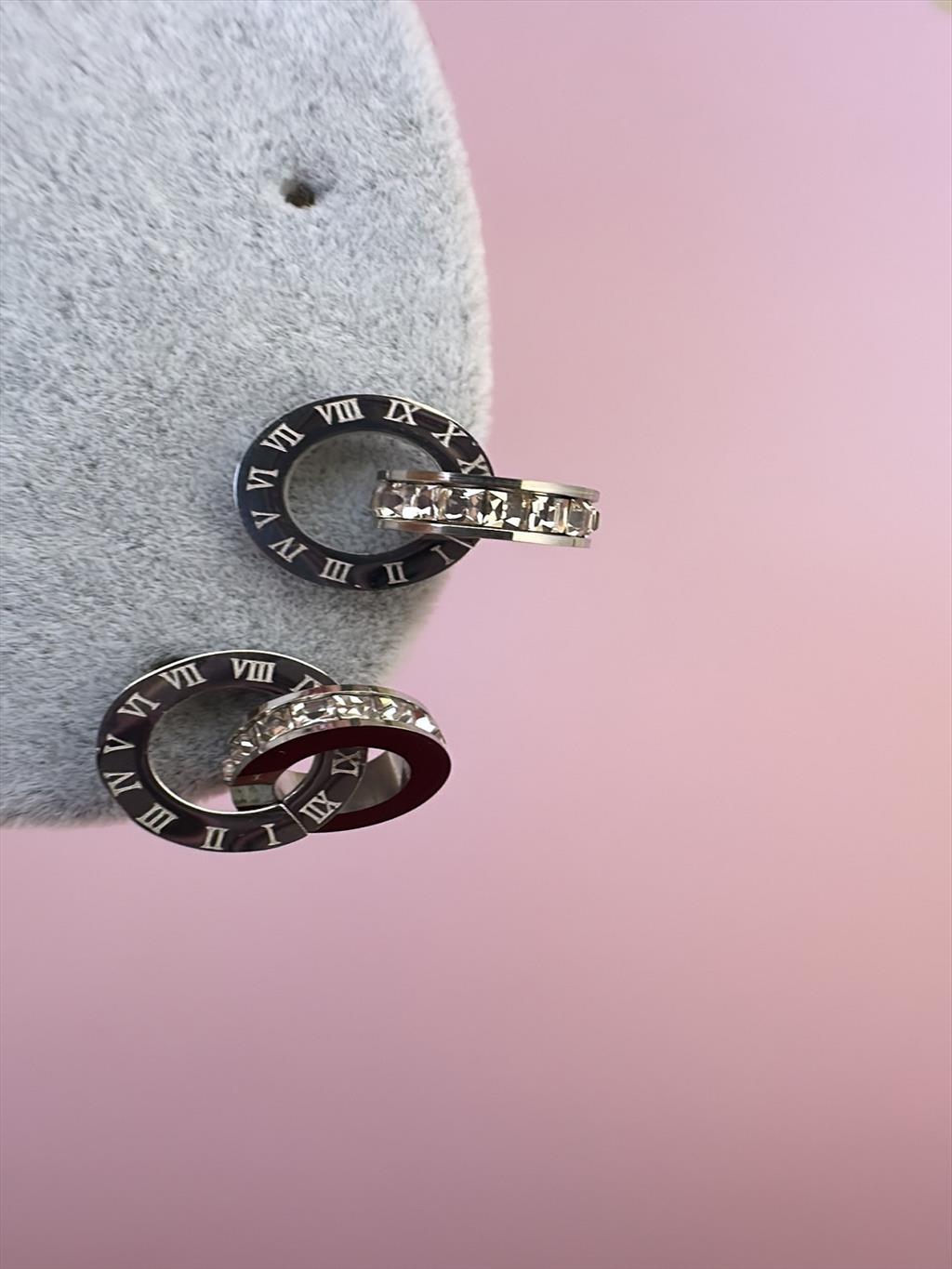 ÇELİK İçiçe Geçmeli Halka Silver Küpe